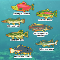 lake fish enamel pins