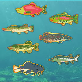 lake fish enamel pins