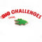 little challenges pin