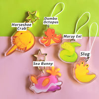 ocean creature keychains